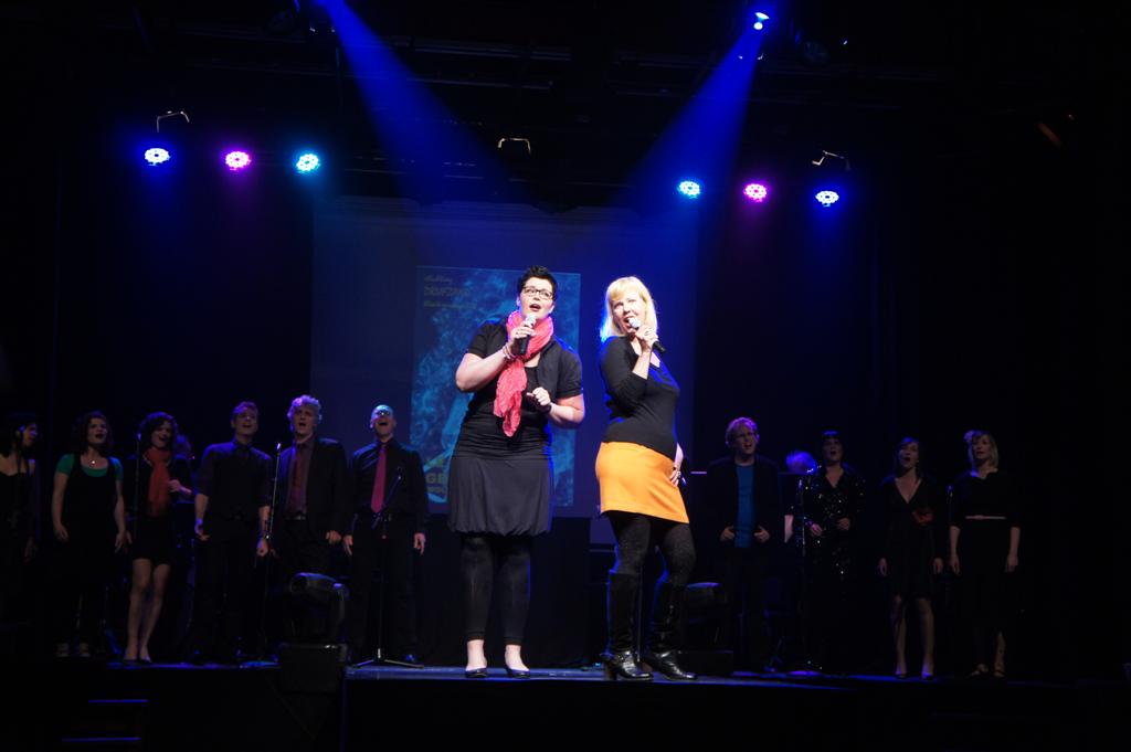 Drijfzand in Concert (2012) — beeld 10